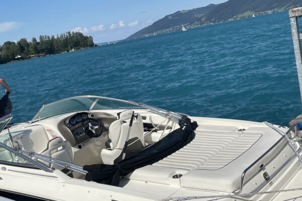 Sea Ray 220SSE