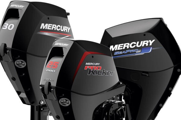 Mercury Außenbordmotor 15 PS 30…