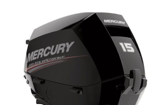 Mercury F15 ELPT EFI Powertrim