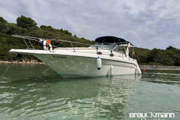 Sea Ray Sundancer 270